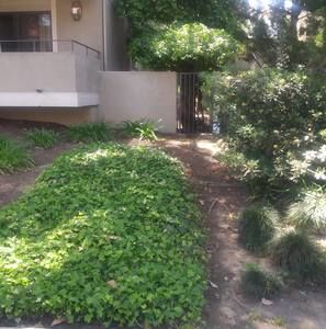 Meet your Posher, Apolonio